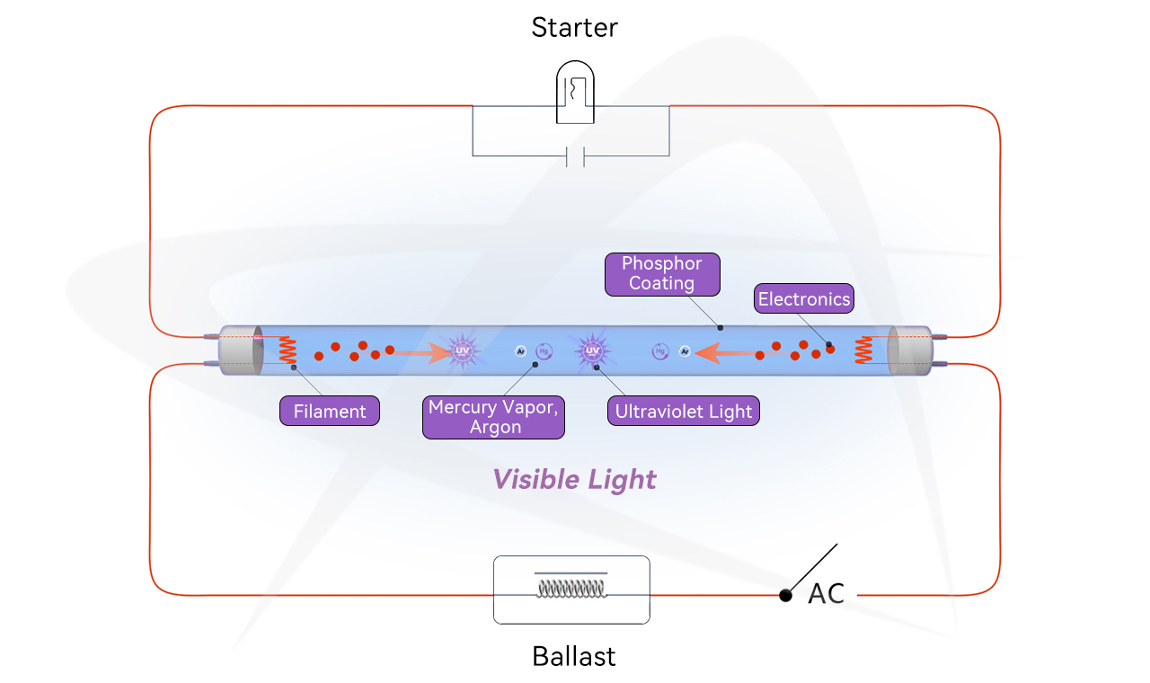 Working Principle of UV Mosquito-attracting Fluorescent Lamp 缩略图
