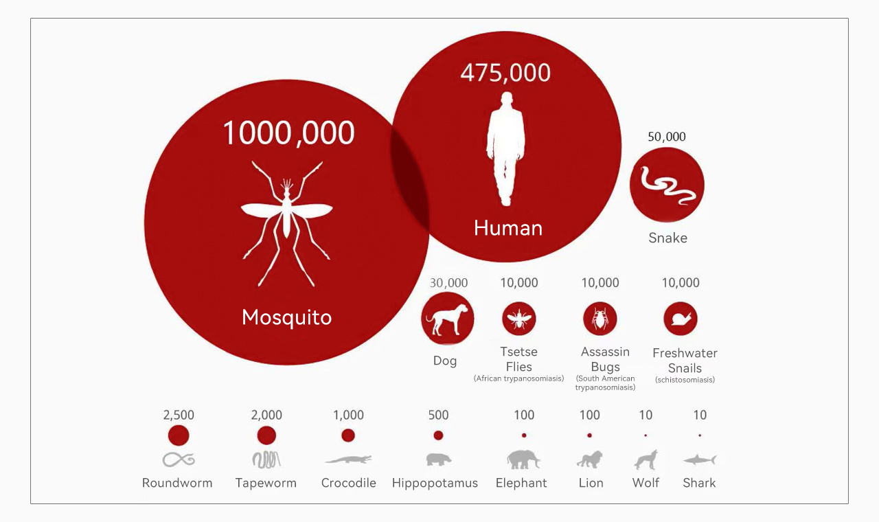The Number One Killer Of Humans - Mosquito 缩略图